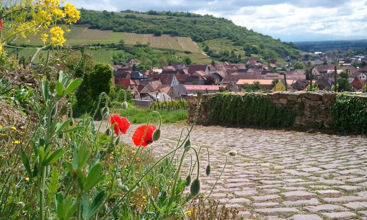 Auberge Du Cheval Blanc Depuis 1785 Westhalten Esterno foto